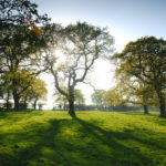 Landscape in the Lincolnshire Wolds in South Elkington near Louth