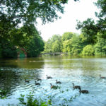 Hartsholme County park