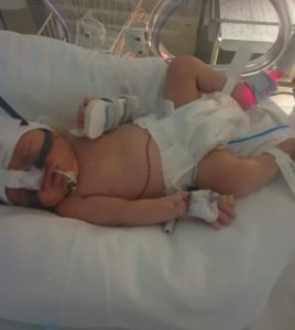 Theo small receiving care